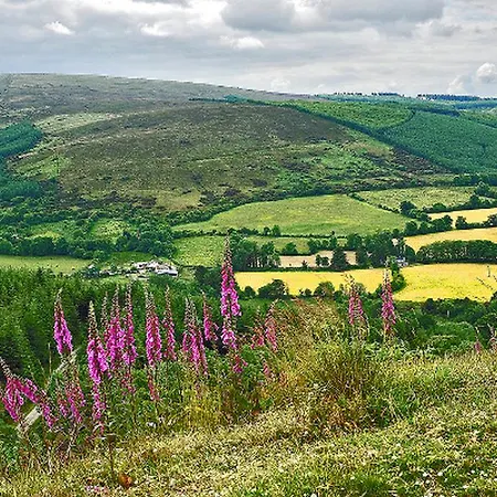 B&B Minnocks Country 3*